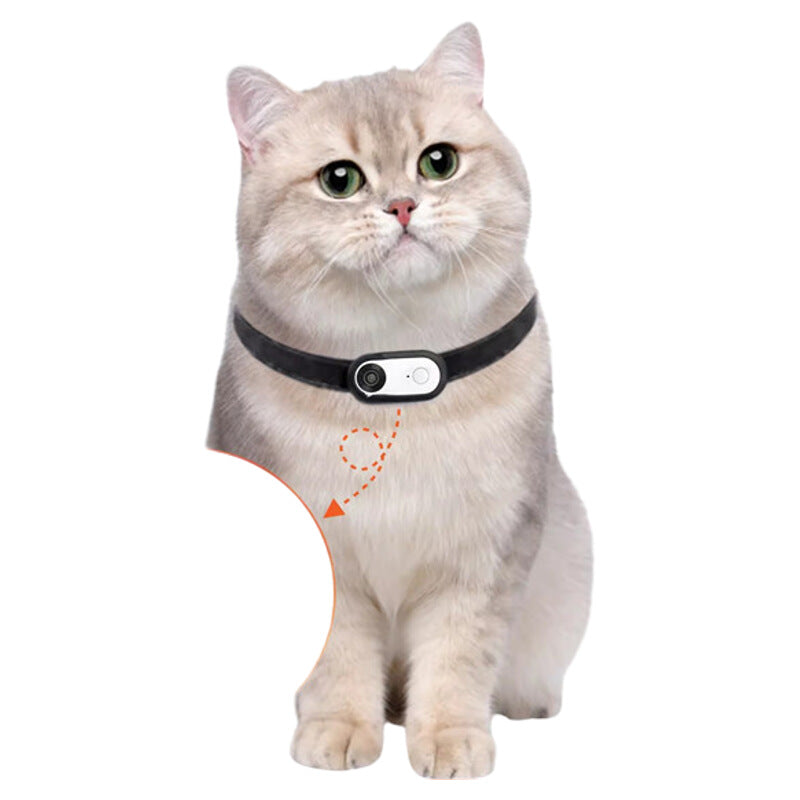 
                  
                    PawsCam Adventure
                  
                