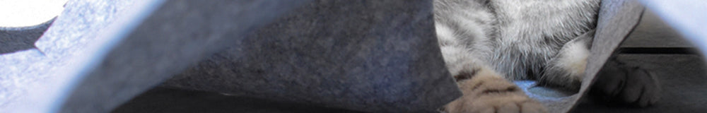 
                  
                    Hide & Pounce Cat Agility Mat
                  
                