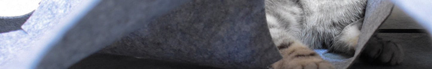 
                  
                    Hide & Pounce Cat Agility Mat
                  
                