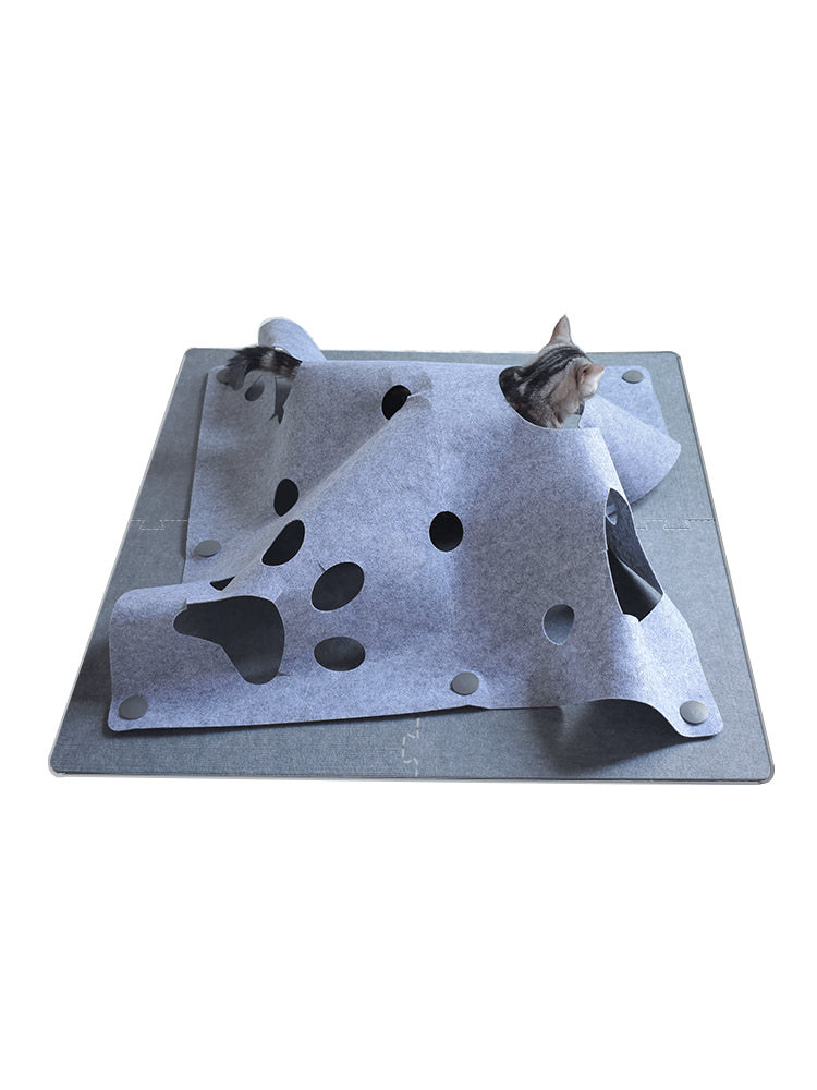 
                  
                    Hide & Pounce Cat Agility Mat
                  
                