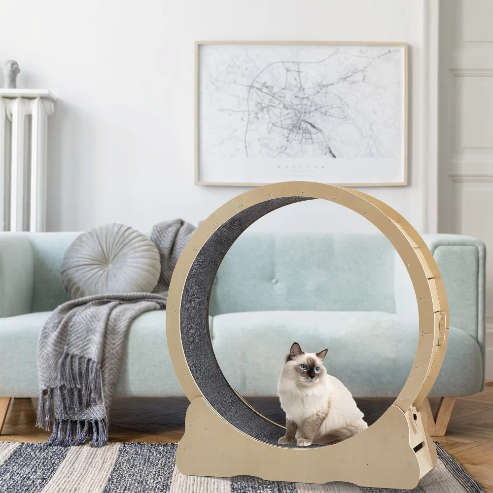 
                  
                    PurrStride Cat Exercise Wheel
                  
                