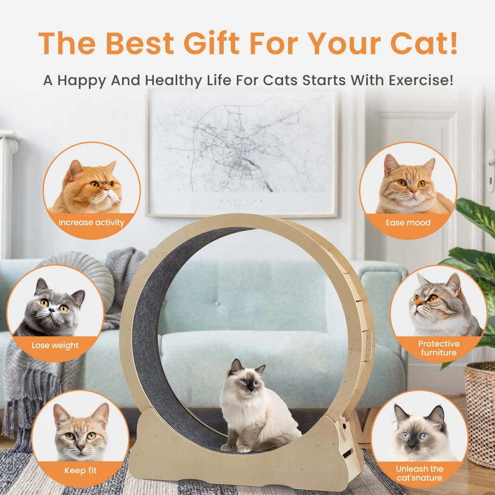 
                  
                    PurrStride Cat Exercise Wheel
                  
                