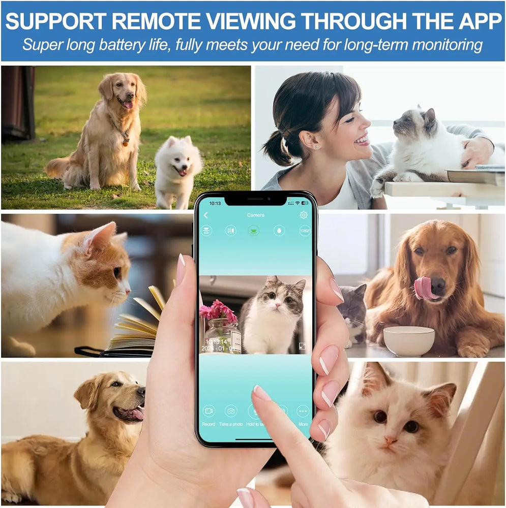 
                  
                    MeowCam HD Collar
                  
                
