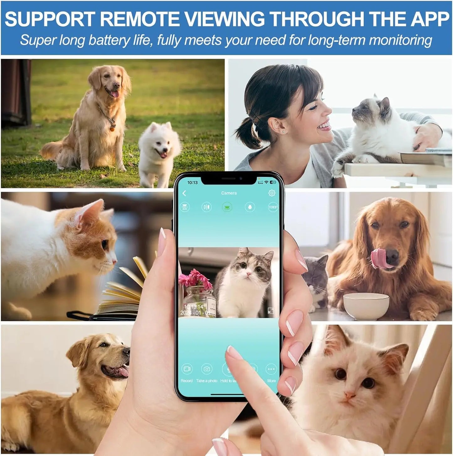 
                  
                    MeowCam HD Collar
                  
                