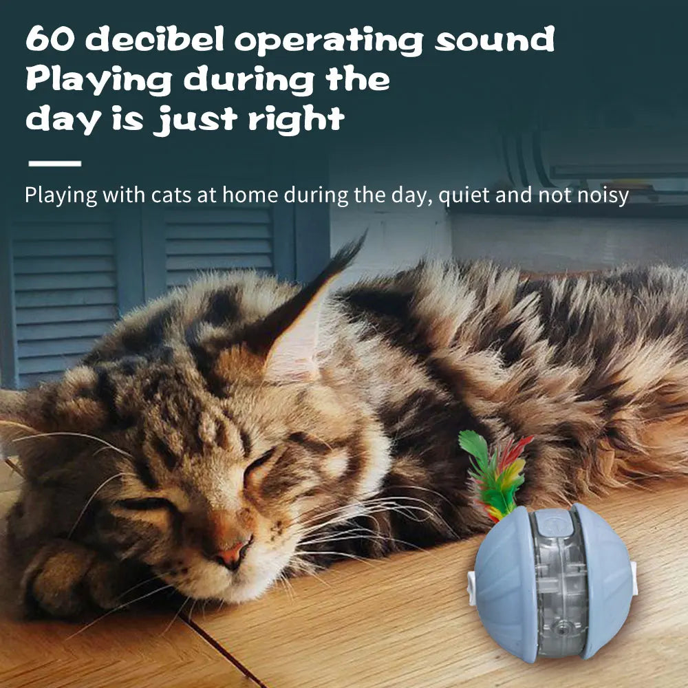 
                  
                    Upgrade Cat Interactive Ball Toy Automatic Rolling Ball Faux Tail Rechargeable Smart Pet Electric Toy Laser Pointer Cat Accessor
                  
                