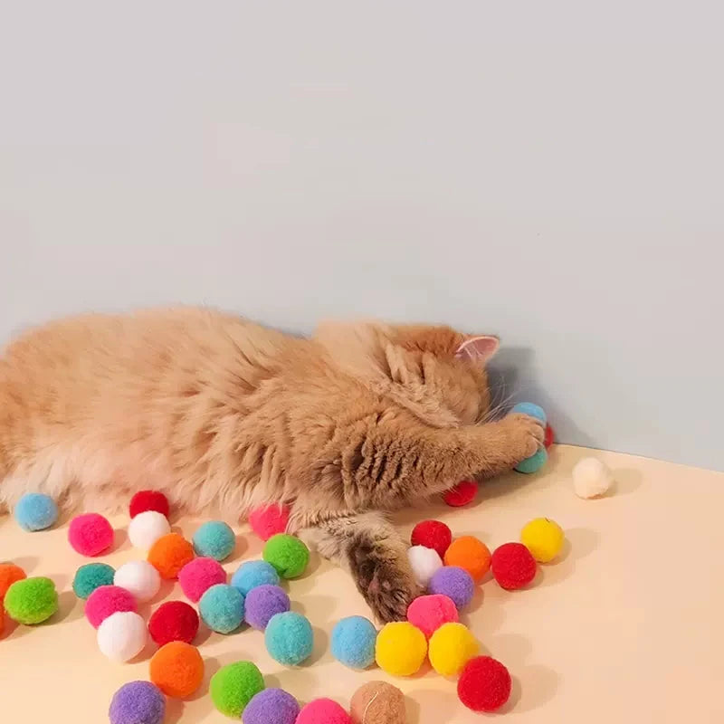 
                  
                    Pounce & Play Plush Ball Launcher
                  
                