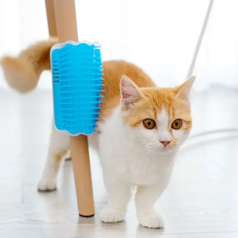 
                  
                    Purrfect Touch Wall Brush
                  
                