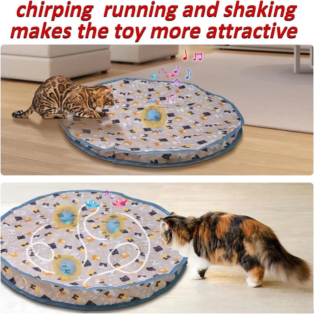 
                  
                    Paws & Seek: The Ultimate Hide-and-Play Cat Toy
                  
                