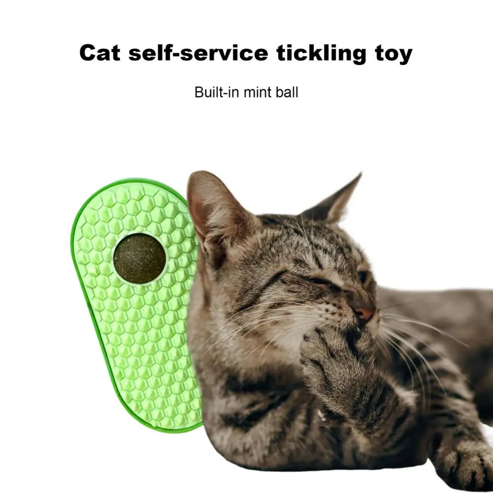 
                  
                    PawEase Catnip Groomer
                  
                