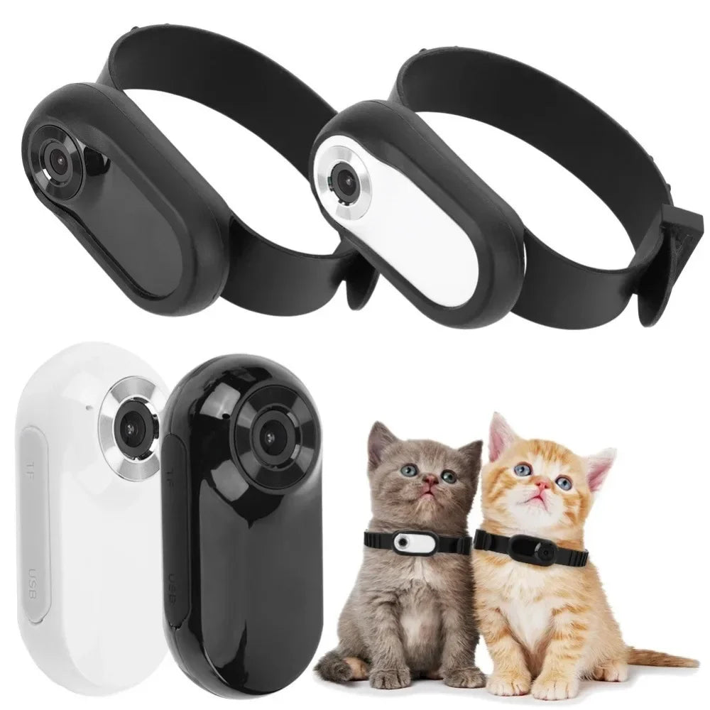 PurrfectView HD CatCam