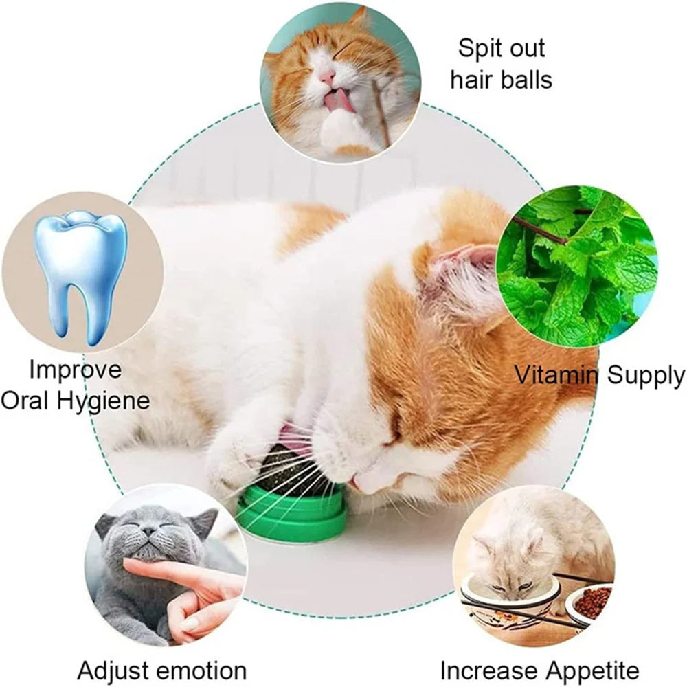 
                  
                    Whisker Whirl Catnip Ball
                  
                