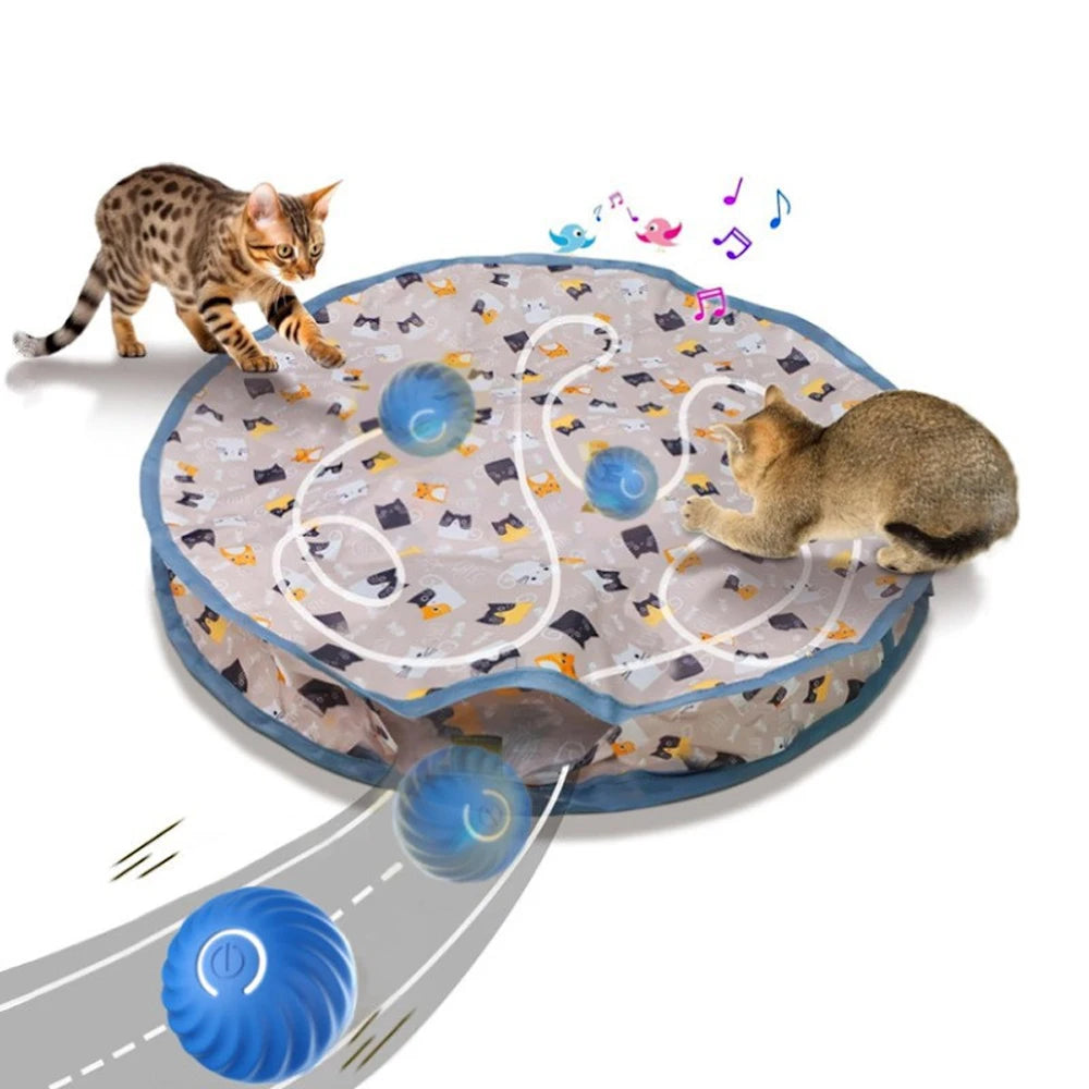 
                  
                    Paws & Seek: The Ultimate Hide-and-Play Cat Toy
                  
                