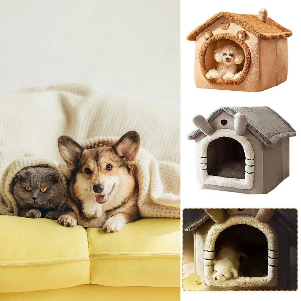 
                  
                    CozyCat Haven
                  
                