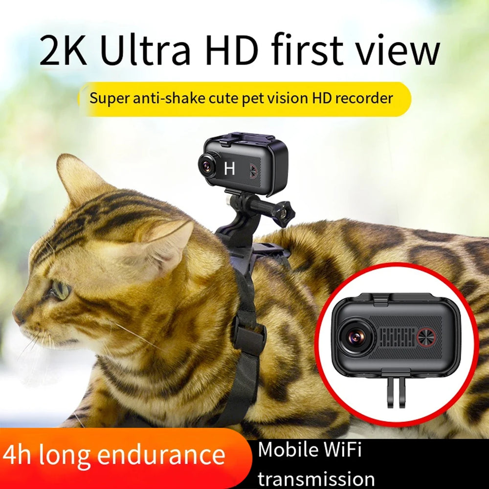 CatCam 2K – See the World Through Your Cat’s Eyes!