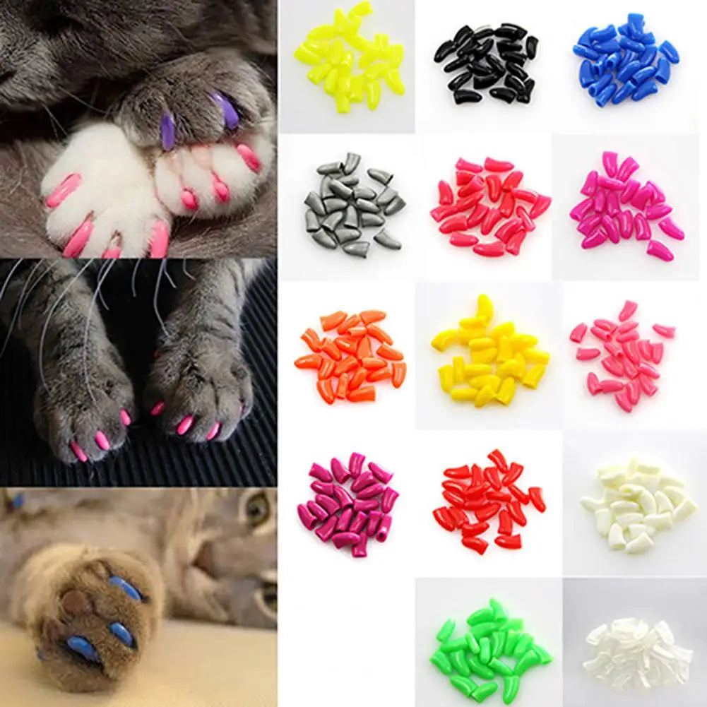 
                  
                    SoftPaws Protective Nail Caps
                  
                