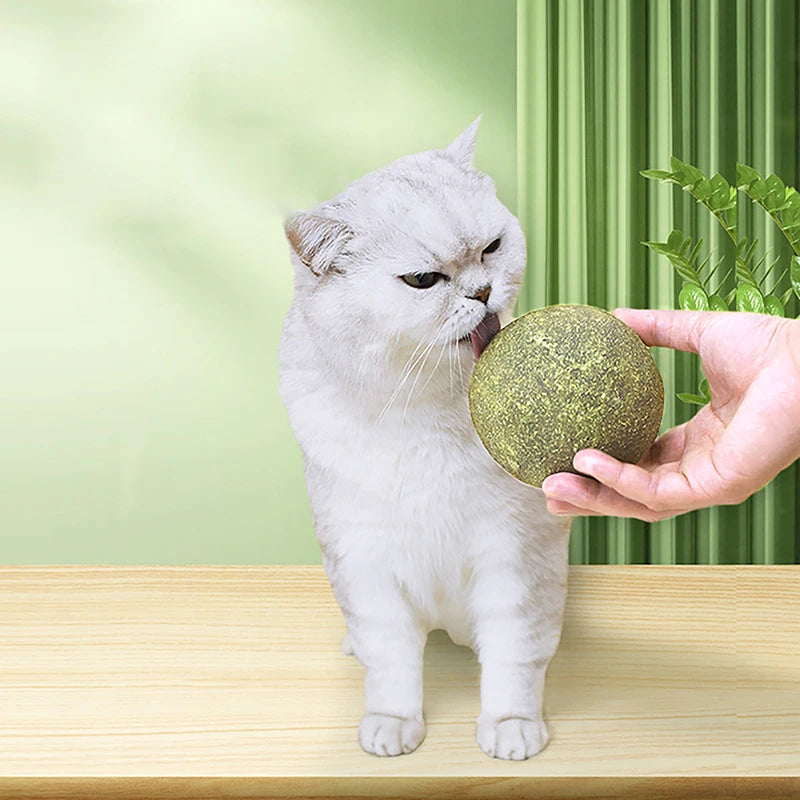 
                  
                    10cm Catnip Play Ball
                  
                