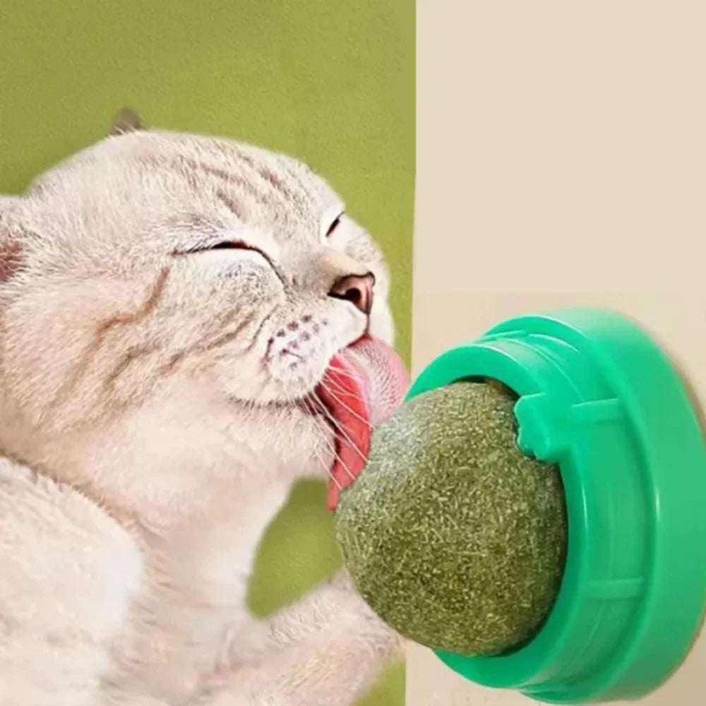 Whisker Whirl Catnip Ball