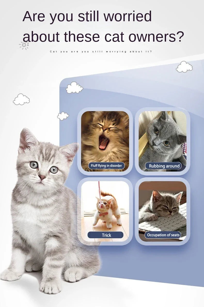 
                  
                    Purrfect Touch Wall Brush
                  
                