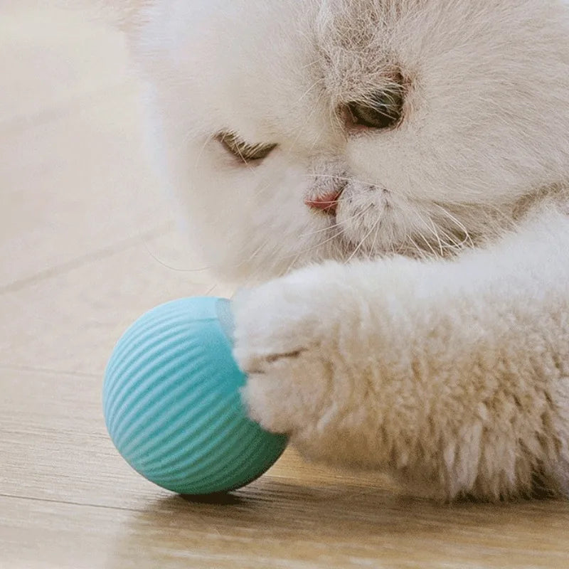 
                  
                    PounceSphere Smart Chase Ball
                  
                
