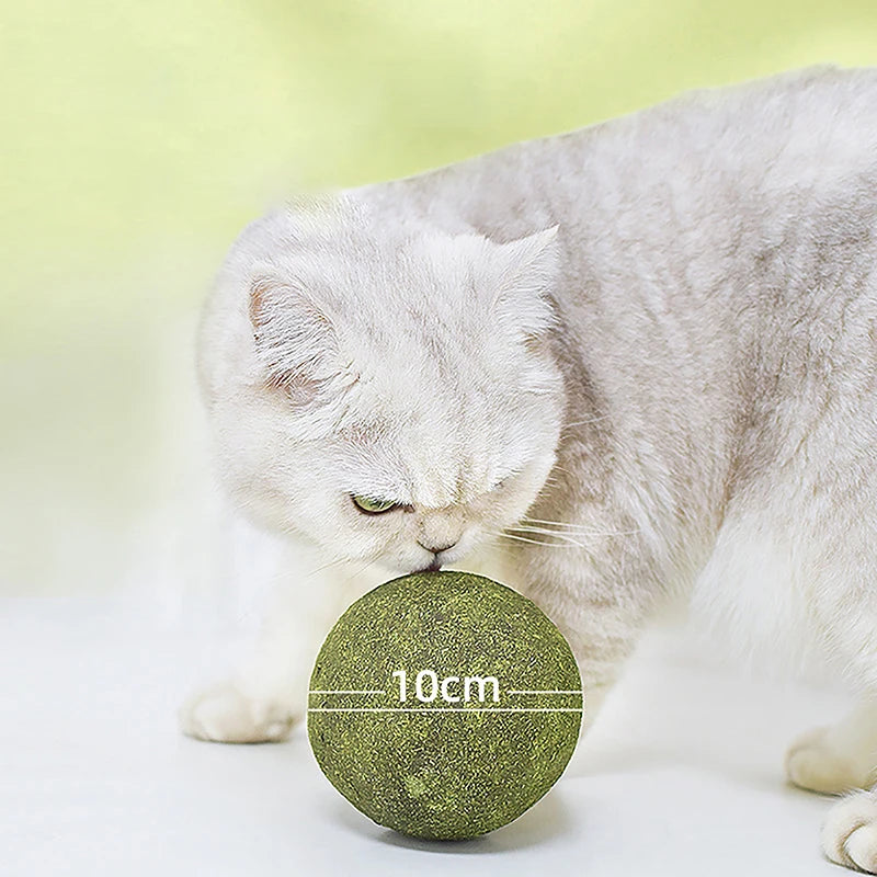 
                  
                    10cm Catnip Play Ball
                  
                