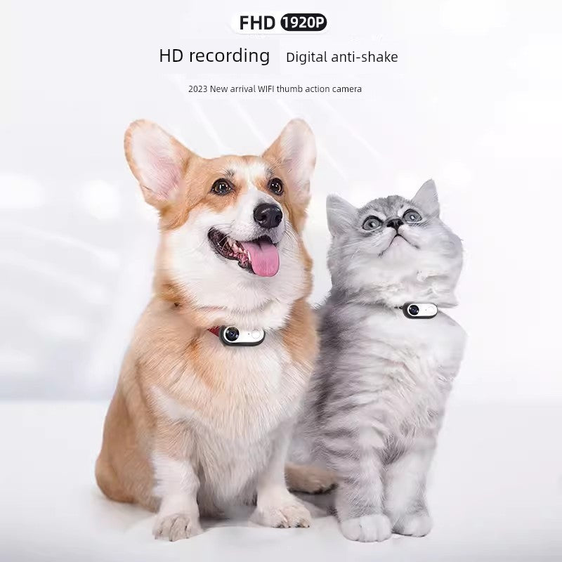 
                  
                    PawsCam Adventure
                  
                