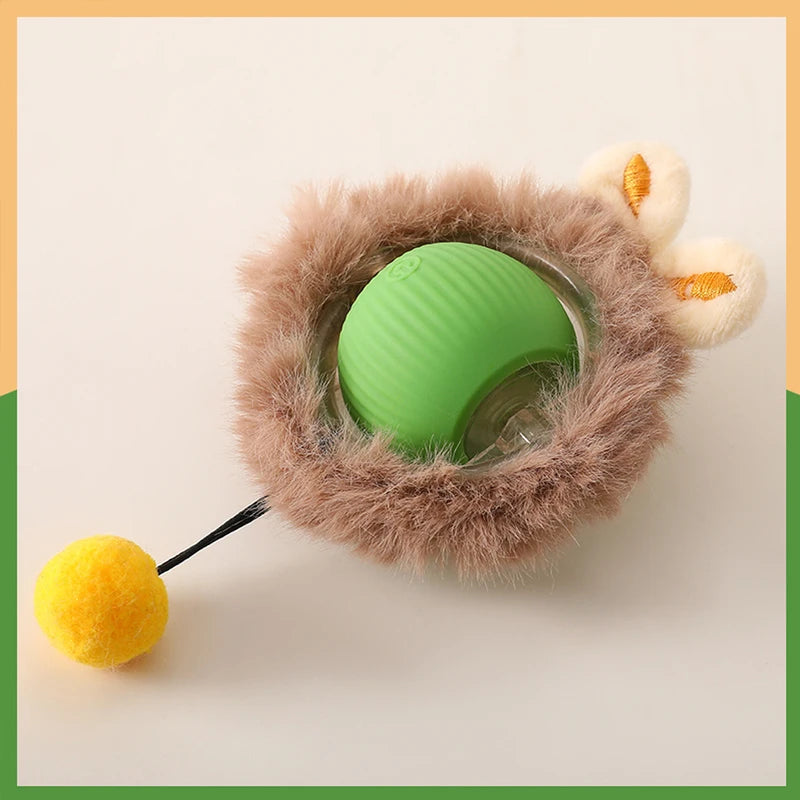 
                  
                    Paws & Seek: The Ultimate Hide-and-Play Cat Toy
                  
                