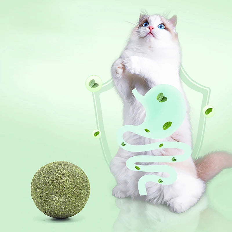 
                  
                    10cm Catnip Play Ball
                  
                