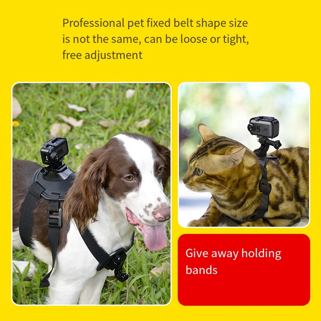 
                  
                    CatCam 2K – See the World Through Your Cat’s Eyes!
                  
                