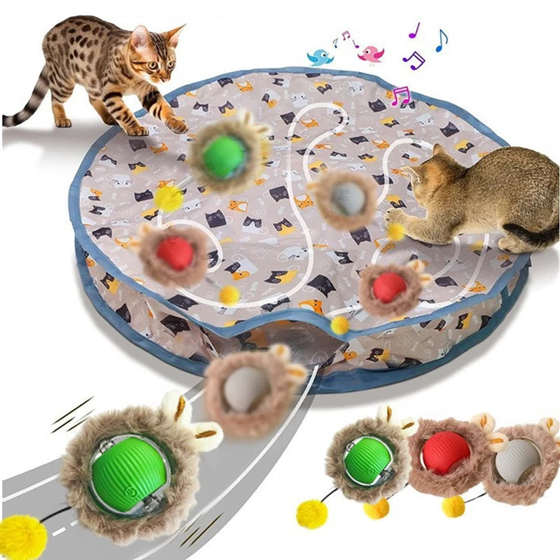 Paws & Seek: The Ultimate Hide-and-Play Cat Toy