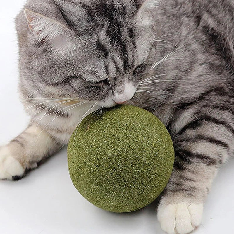 
                  
                    10cm Catnip Play Ball
                  
                
