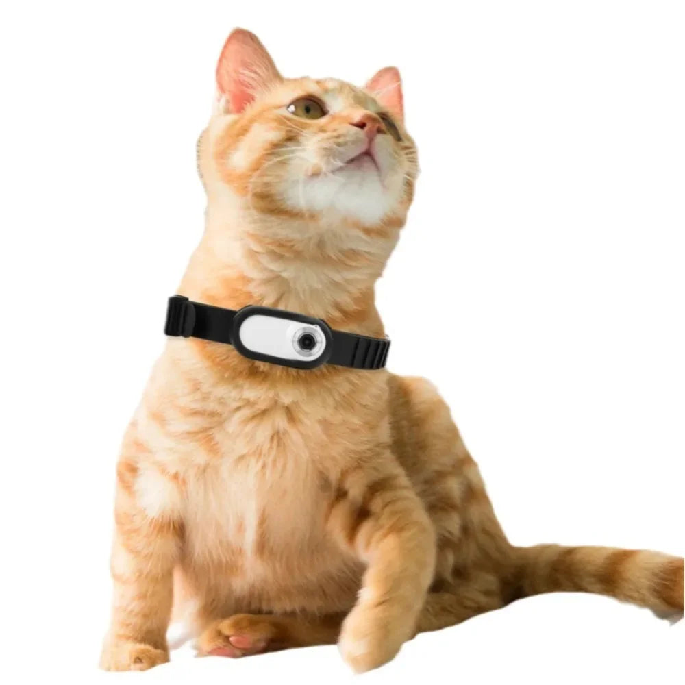 
                  
                    PurrfectView HD CatCam
                  
                