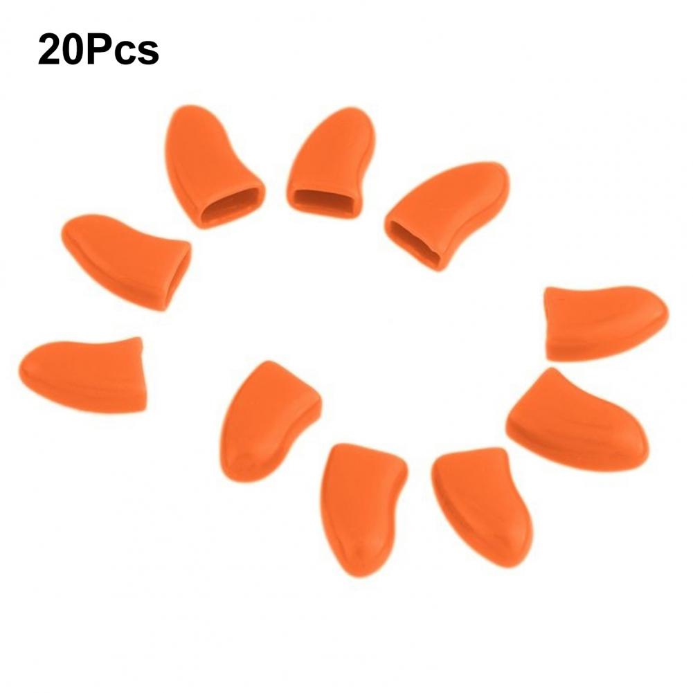 
                  
                    SoftPaws Protective Nail Caps
                  
                