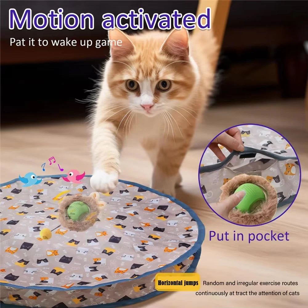 
                  
                    Paws & Seek: The Ultimate Hide-and-Play Cat Toy
                  
                
