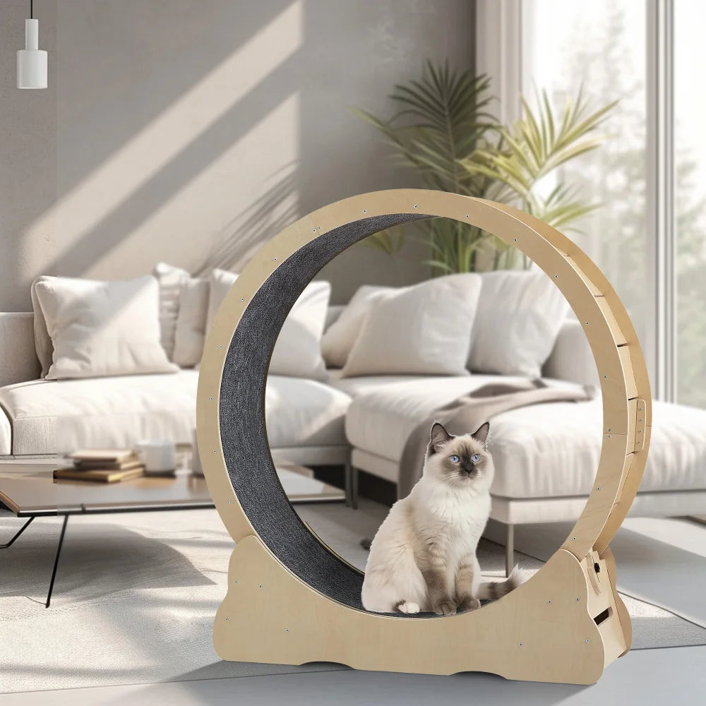 
                  
                    PurrStride Cat Exercise Wheel
                  
                