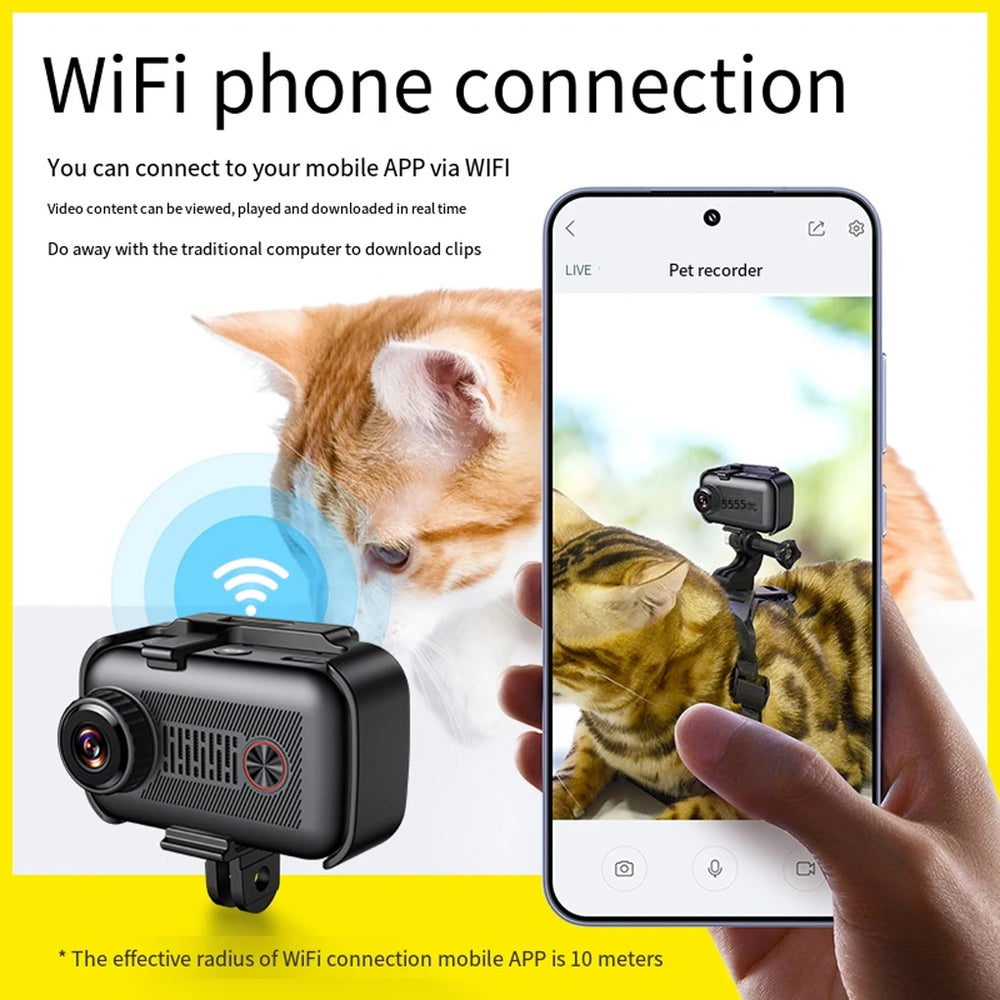 
                  
                    CatCam 2K – See the World Through Your Cat’s Eyes!
                  
                