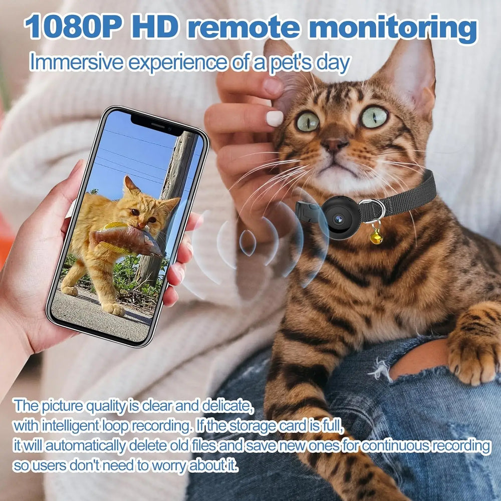 
                  
                    MeowCam HD Collar
                  
                