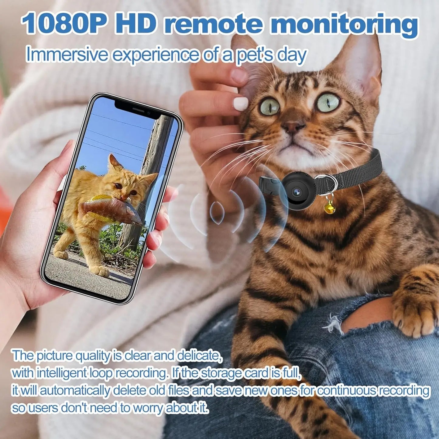 
                  
                    MeowCam HD Collar
                  
                