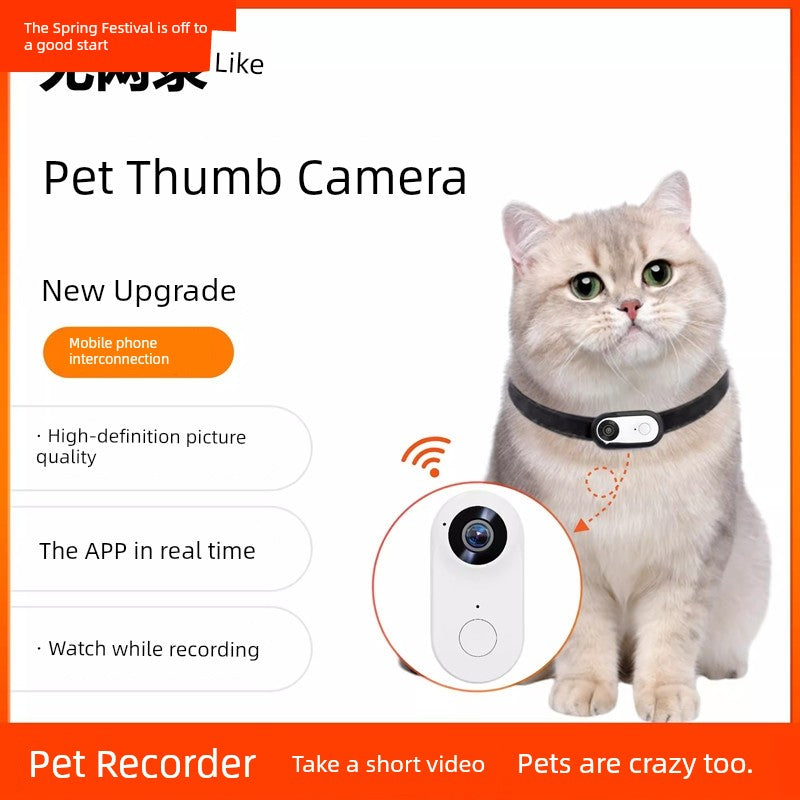 PawsCam Adventure