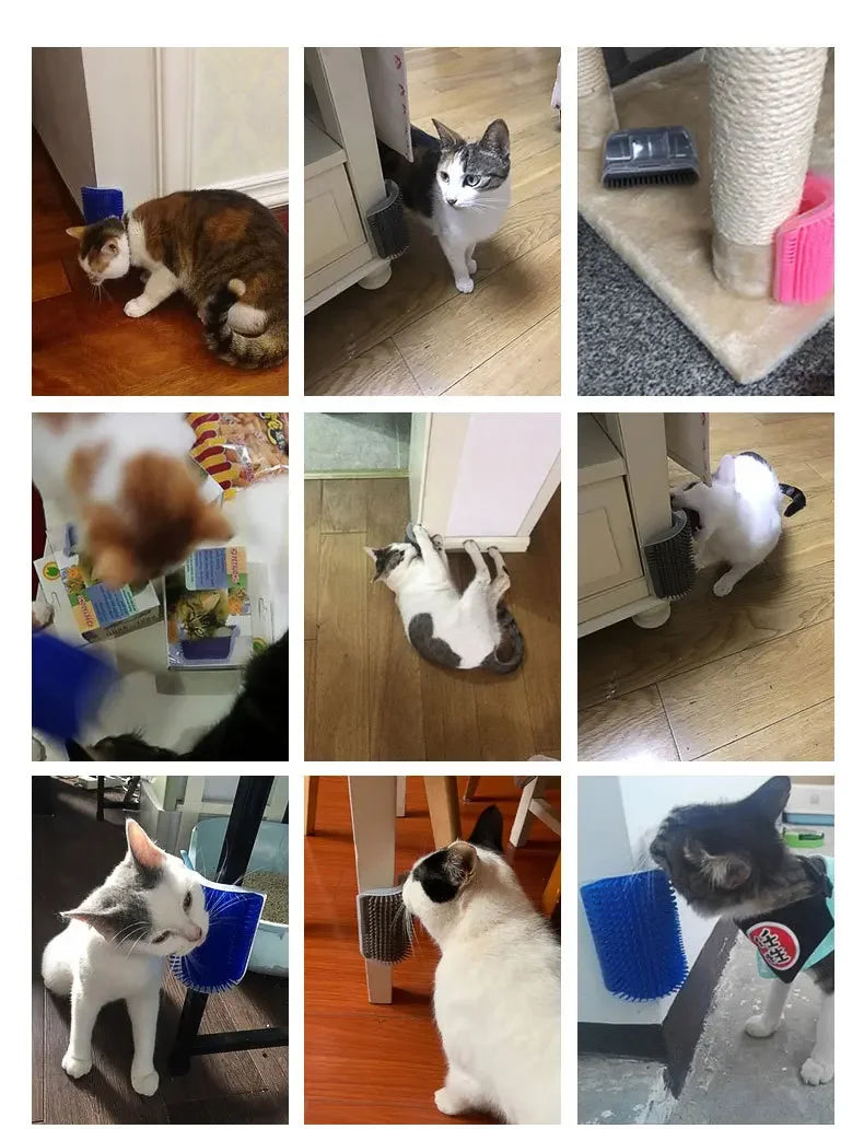 
                  
                    Purrfect Touch Wall Brush
                  
                