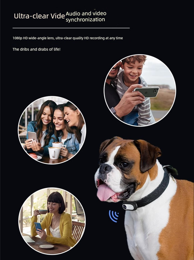 
                  
                    PawsCam Adventure
                  
                