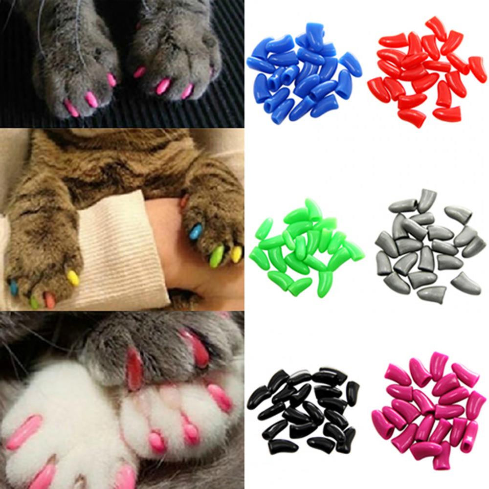 
                  
                    SoftPaws Protective Nail Caps
                  
                