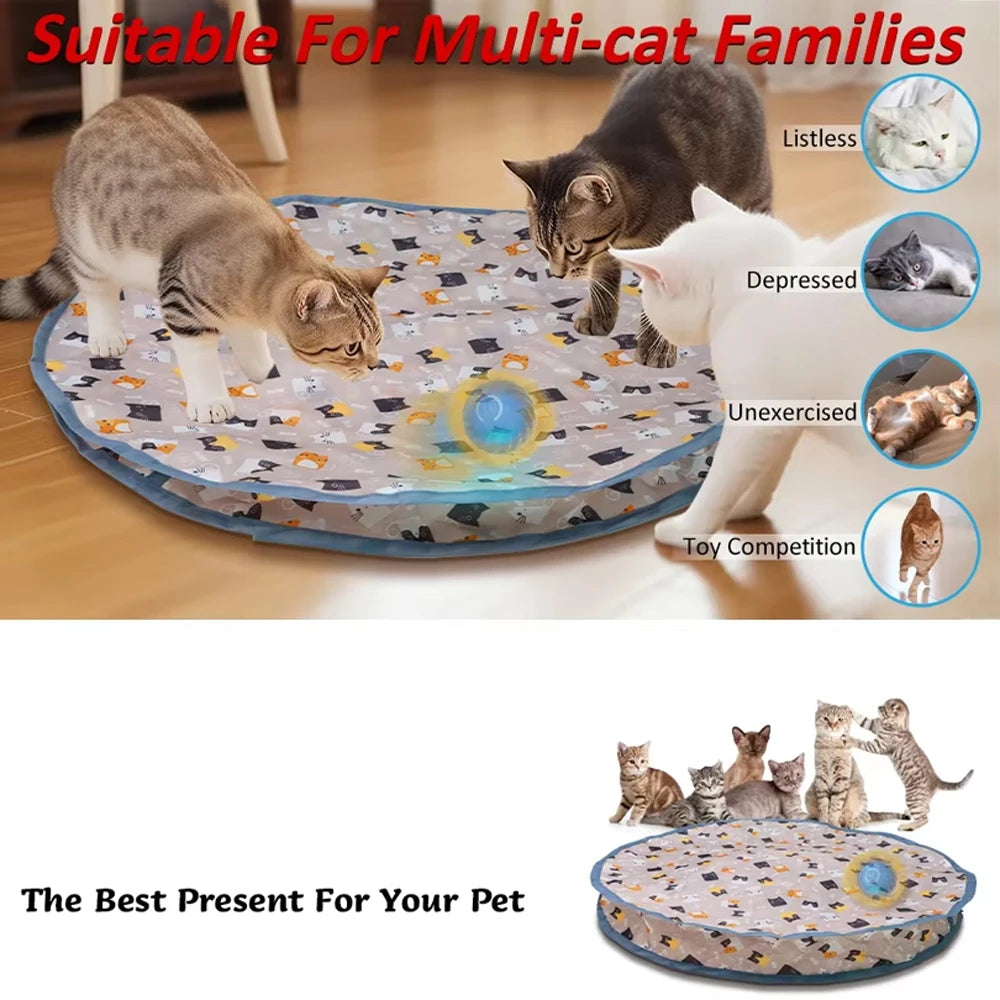 
                  
                    Paws & Seek: The Ultimate Hide-and-Play Cat Toy
                  
                