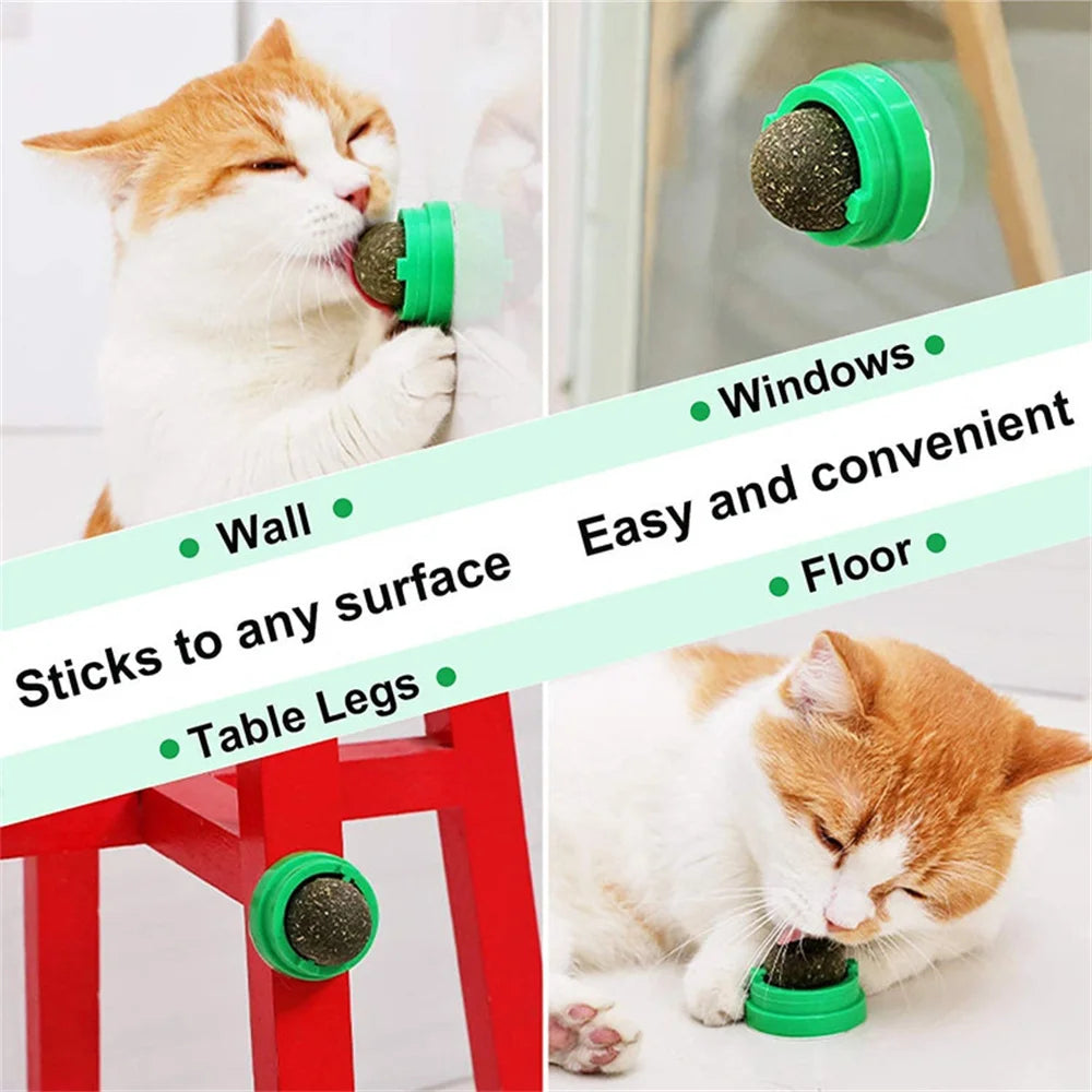 
                  
                    Whisker Whirl Catnip Ball
                  
                