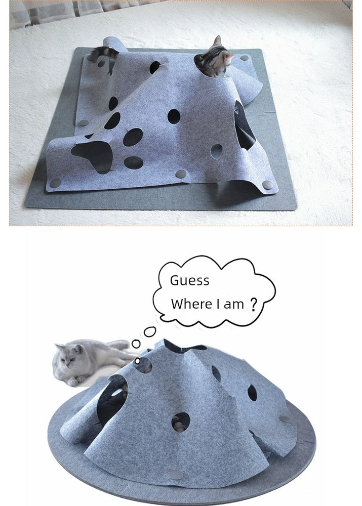 
                  
                    Hide & Pounce Cat Agility Mat
                  
                