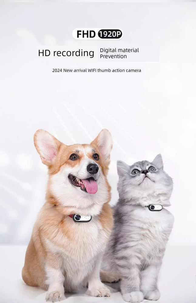 
                  
                    PawsCam Adventure
                  
                