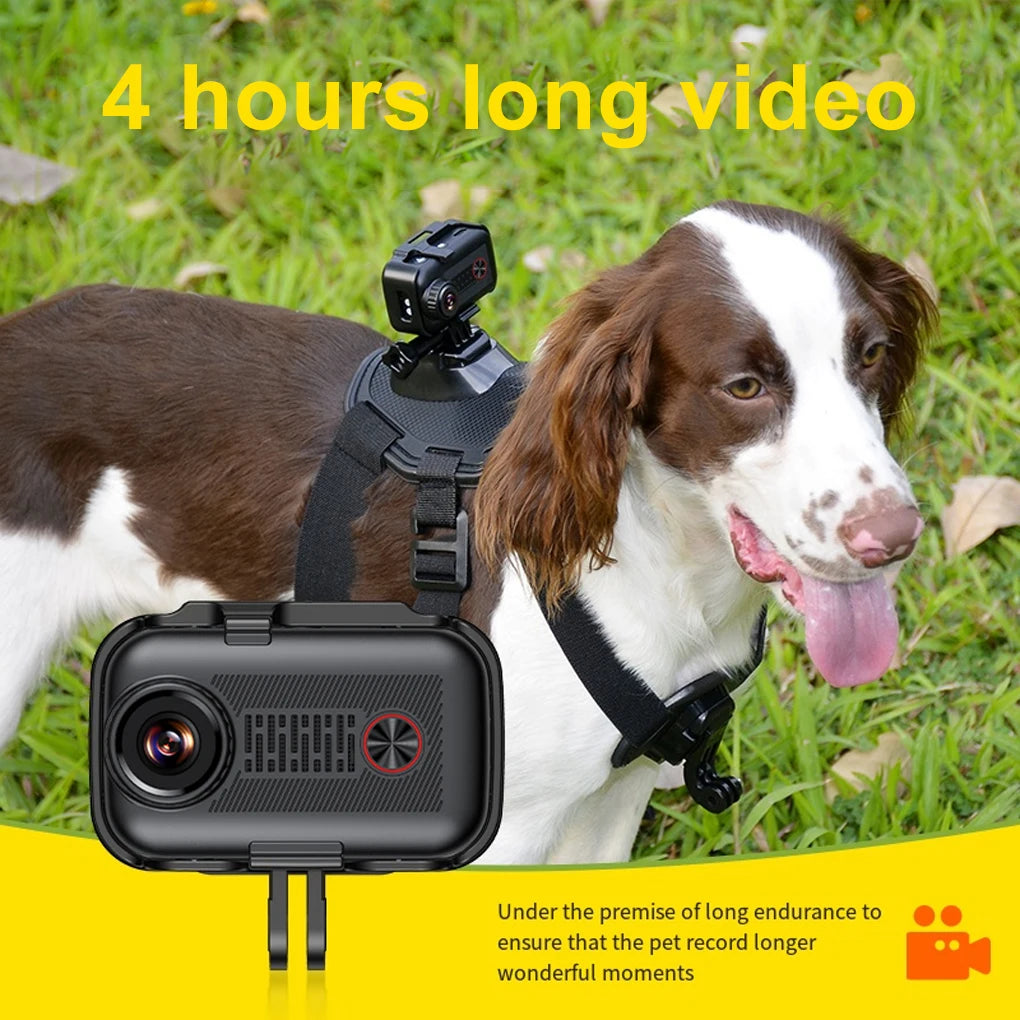 
                  
                    CatCam 2K – See the World Through Your Cat’s Eyes!
                  
                