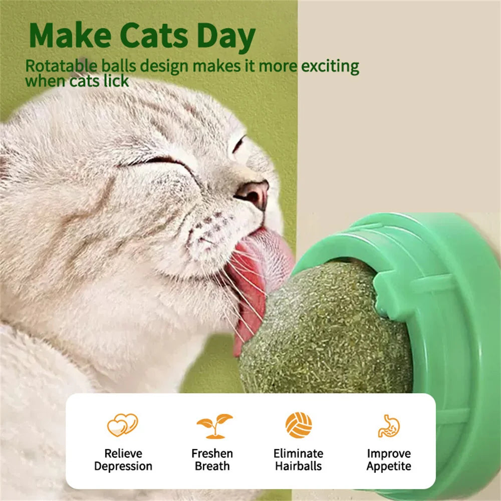 
                  
                    Whisker Whirl Catnip Ball
                  
                