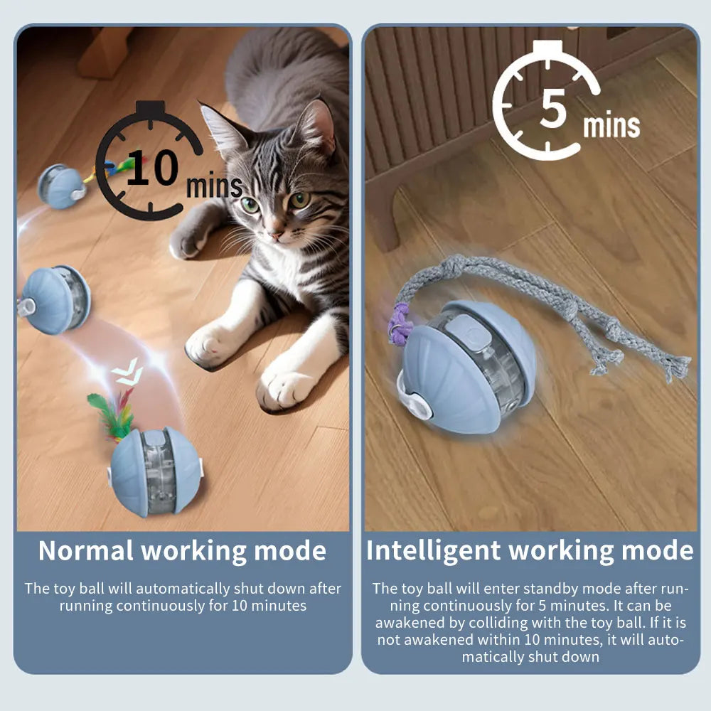 
                  
                    Upgrade Cat Interactive Ball Toy Automatic Rolling Ball Faux Tail Rechargeable Smart Pet Electric Toy Laser Pointer Cat Accessor
                  
                
